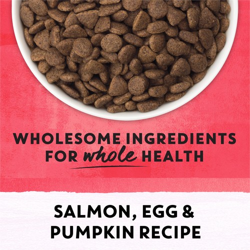 Beyond Dry Dog Food Wild Caught Salmon Egg & Pumpkin Recipe 5 kg