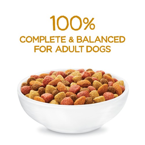 Beneful Originals Dry Dog Food Real Chicken 1.8 kg