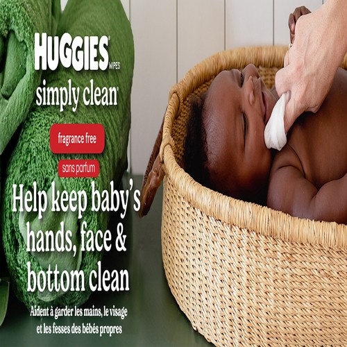 Huggies Simply Clean Baby Wipes Unscented Flip-Top Pack 704 Count