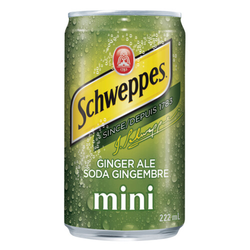 Schweppes Ginger Ale Minis 15 x 222 ml (cans)