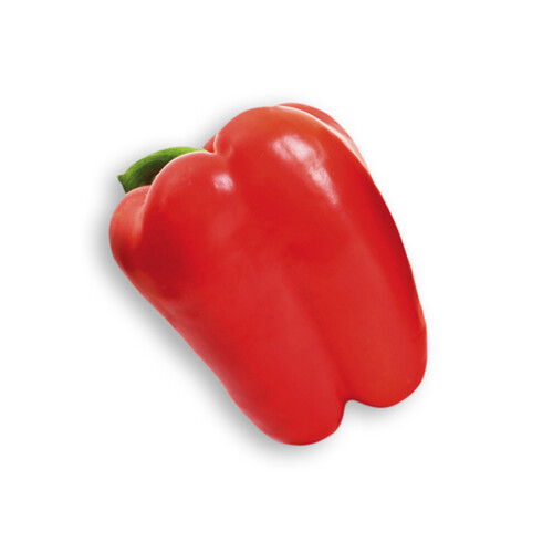 Red Pepper Extra Large 1 Count