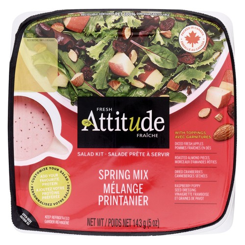 Fresh Attitude Salad Kit Spring Mix 143 g