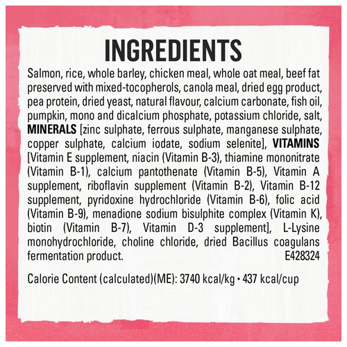 Beyond Dry Dog Food Wild Caught Salmon Egg & Pumpkin Recipe 5 kg