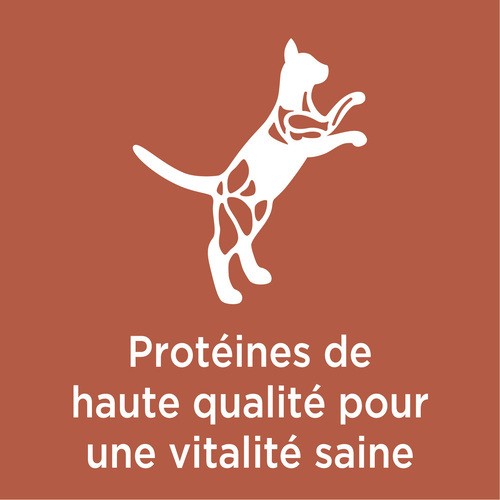 IAMS Proactive Health Adult Dry Cat Food High Protein Chicken & Salmon 1.36 kg
