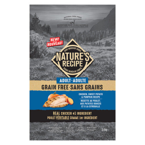 Natural grain shop dog food