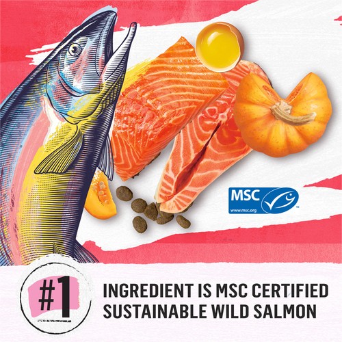 Beyond Dry Dog Food Wild Caught Salmon Egg & Pumpkin Recipe 5 kg