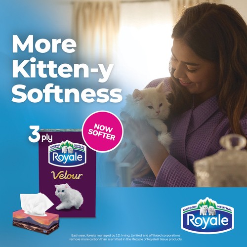 Royale Velour Facial Tissue 3 Ply 6 Boxes x 82 Sheets