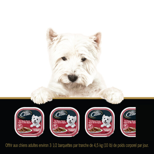 Cesar Adult Wet Dog Food Classic Loaf In Sauce Filet Mignon 100 g