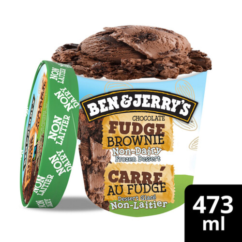 Ben & Jerry's Non-Dairy Ice Cream Chocolate Fudge Brownie 500 ml