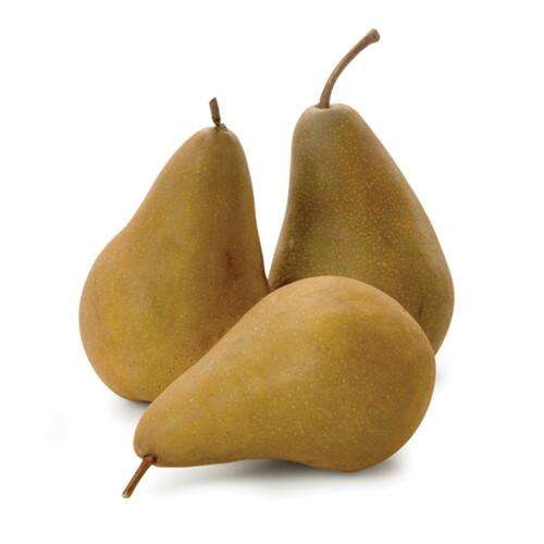 Bosc Pears 3 Count