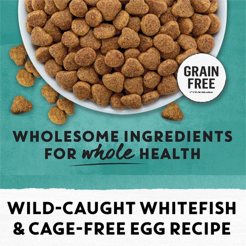 Beyond Grain-Free Dry Cat Food Wild-Caught Whitefish & Free Run Egg Recipe 2.26 kg