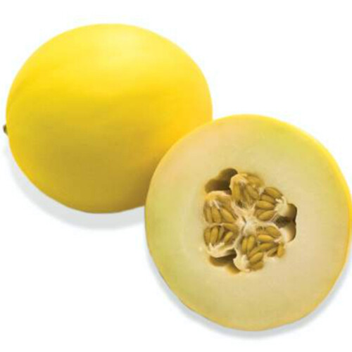 Golden Honeydew 1 Count