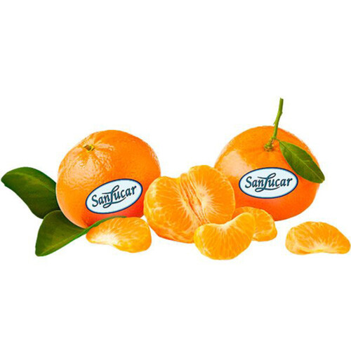 Sanlucar Seedless Tangerine