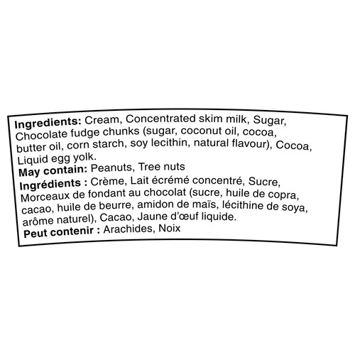 Haagen-Dazs Ice Cream Chocolate Chocolate Chunk 450 ml