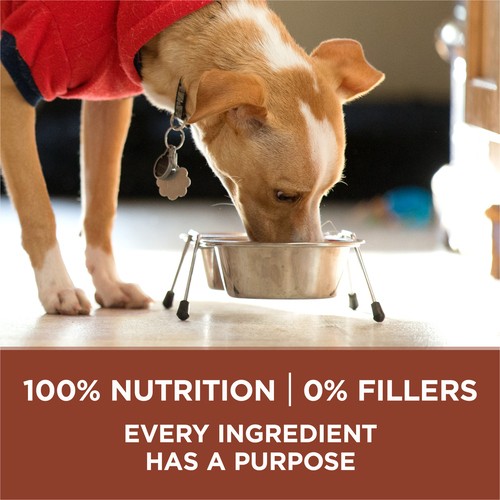 Purina ONE Dry Dog Food Healthy Weight Turkey 7 kg