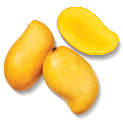 Ataulfo Mango 1 Count