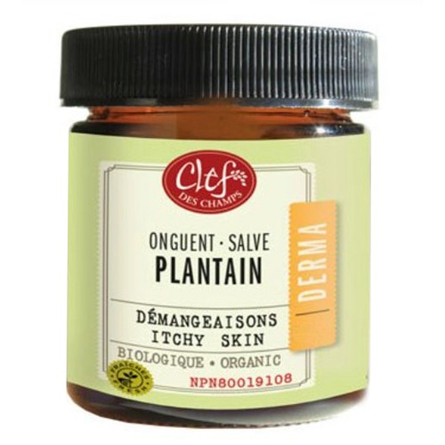 Clef Des Champs Organic Salves Plaintain 15 ml