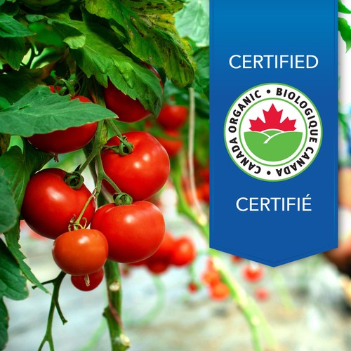 Classico Pasta Sauce Sweet Tomato Basil 650 mL
