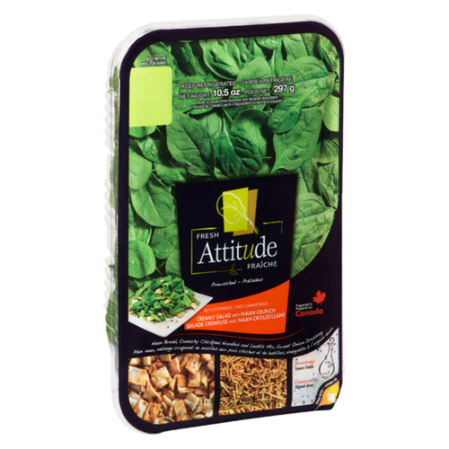 Fresh Attitude Creamy Salad Kit With Naan 297 g Voilà Online