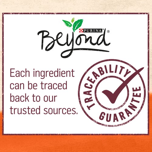 Beyond Dry Dog Food Small Dog Farm-Raised Chicken & Barley 1.67 kg