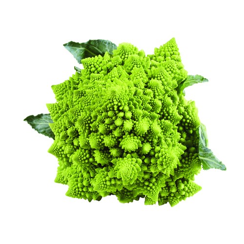Romanesco Broccoli 1 Count