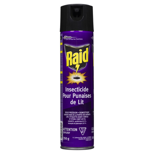 Raid Insect Killer Spray Bed Bug 350 g